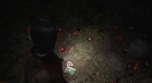 零：红蝶 重制版 宗方良藏支线任务攻略