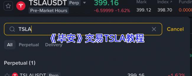毕安 交易TSLA教程
