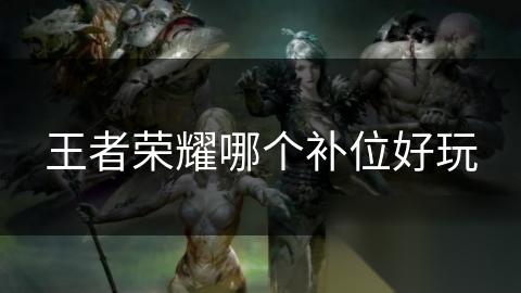 王者荣耀哪个补位好玩