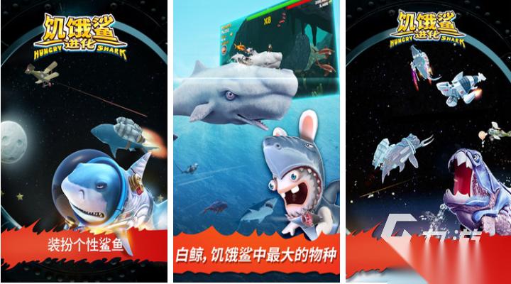 受欢迎的无网单机游戏大全 人气较高的单机游戏盘点2026