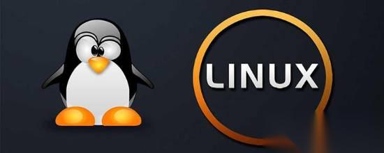 V社神级补丁拯救8G显卡 硬抢显存游戏性能起飞