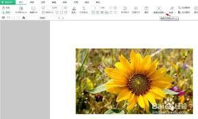 迅读PDF大师如何进行截图