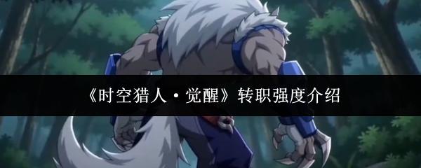 时空猎人·觉醒 转职强度介绍