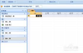 如何设置access数据库应用程序图标