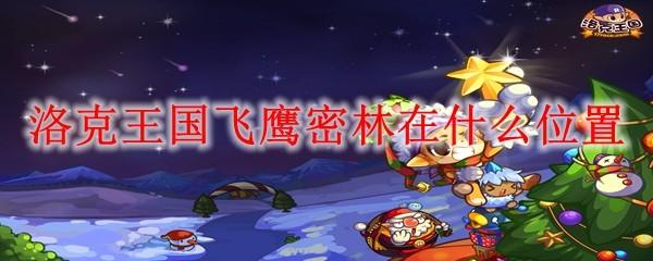 洛克王国飞鹰密林在什么位置