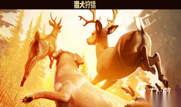 受欢迎的打猎游戏推荐 2026人气较高的打猎游戏盘点