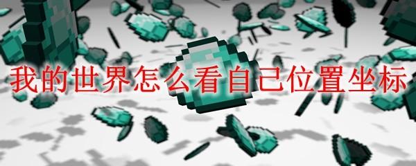 我的世界怎么看自己位置坐标