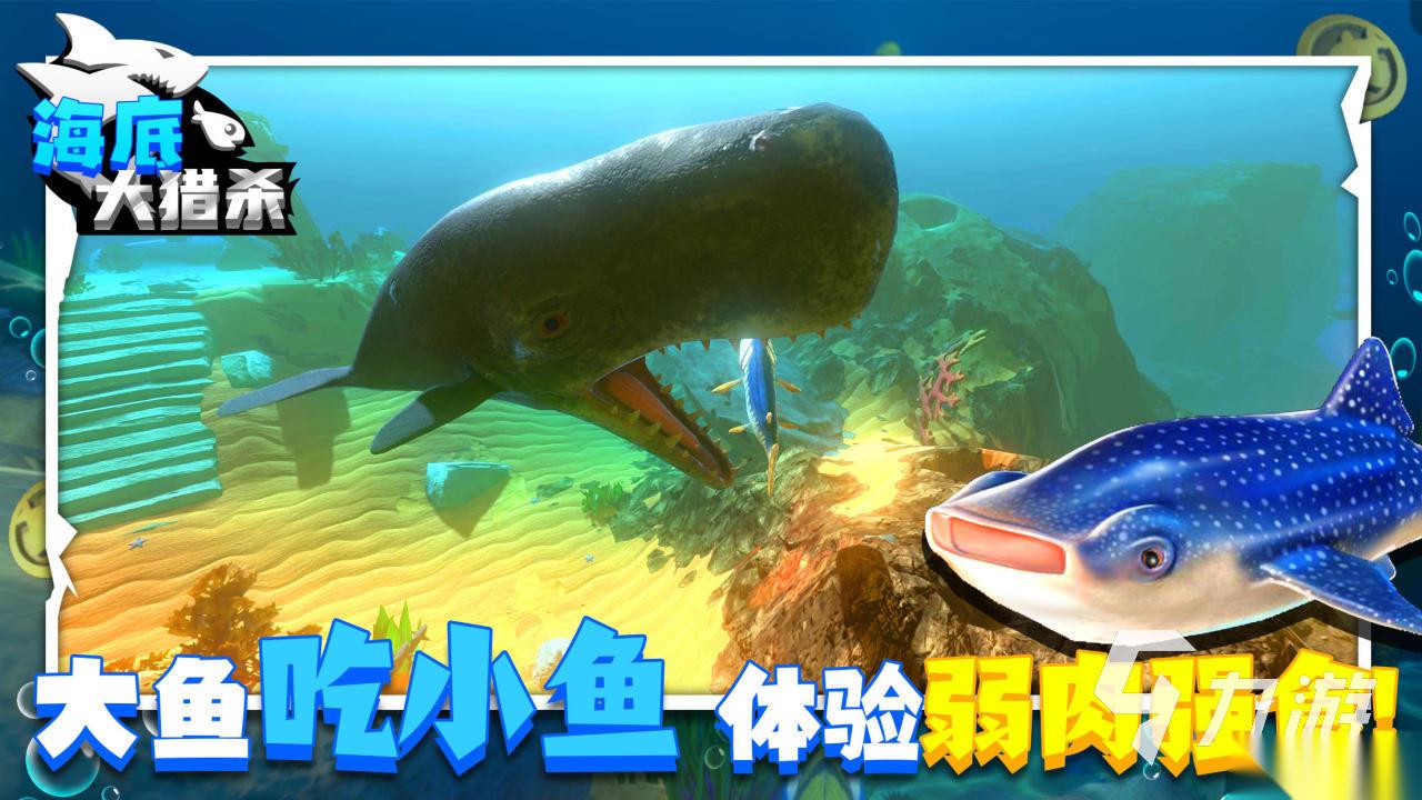 休闲的吃鱼游戏下载盘点 2026流行的吃鱼游戏有哪些