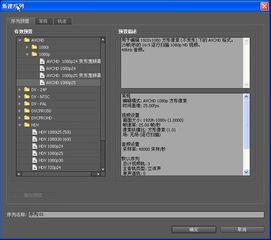 premiere双击视频无法调整大小怎么办