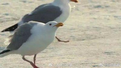 喇叭之城成就如何做